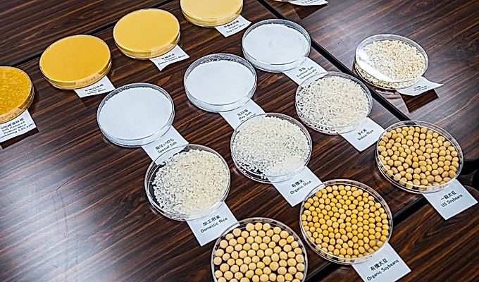 виды мисо, соли, риса и соевых бобов в прозрачных блюдах на столах