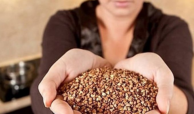  Propietats útils del blat sarraí 