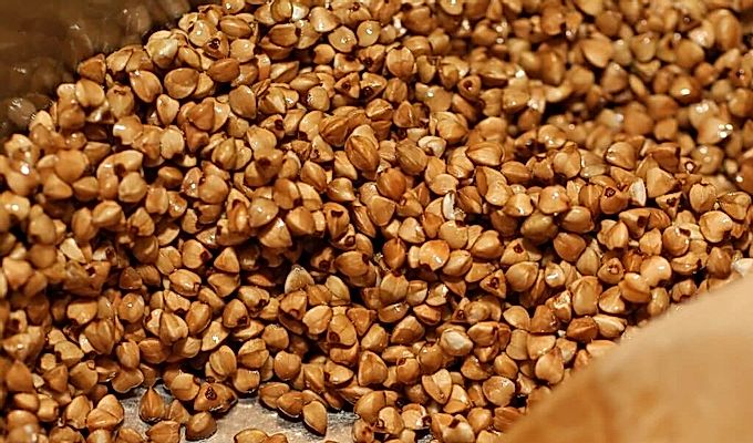  Propietats del fajol sarraí