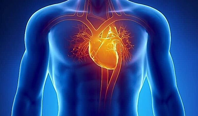  Malalties del sistema cardiovascular 