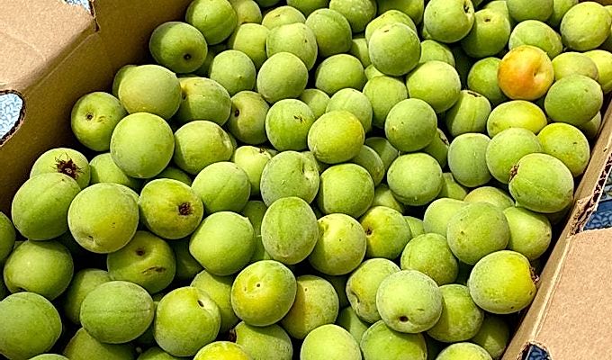 5 вкусных рецептов сливы умэ этой весной