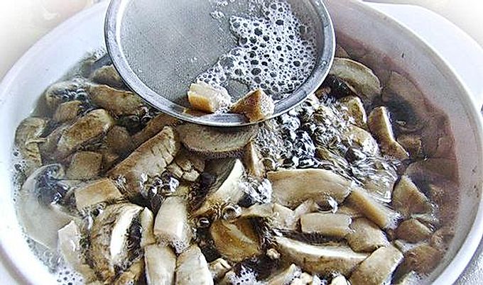 سر الطهاة الحقيقيين هو مقدار طهي فطر Popolevka بشكل صحيح