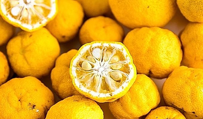 Yuzu