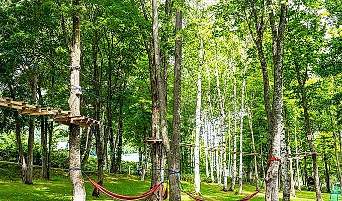 курс в Tree Adventure Furano