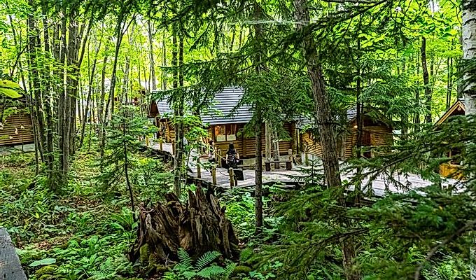 деревянные магазины на Ningle Terrace в лесу