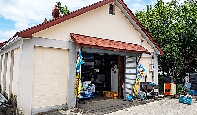 Фурано дыня Sato Farm