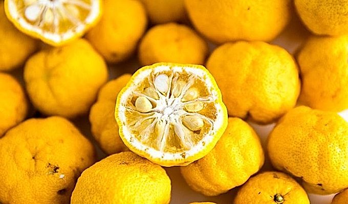 Yuzu