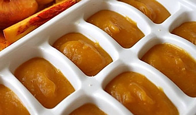  Puré de carbassa congelat 