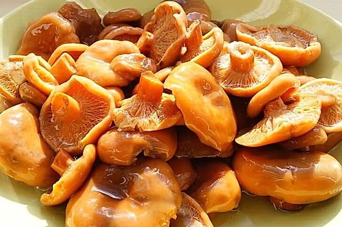 겨울철 맛있는 버섯 절임법을 알려드립니다.