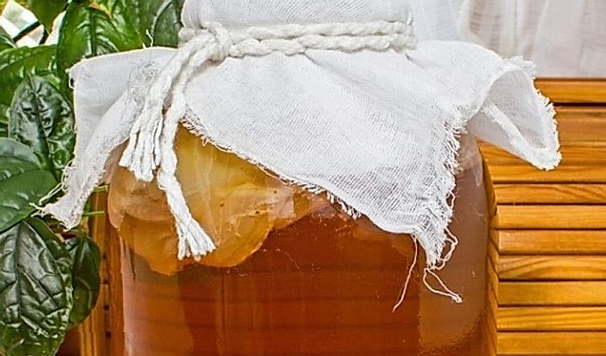  Infusion von Kombucha