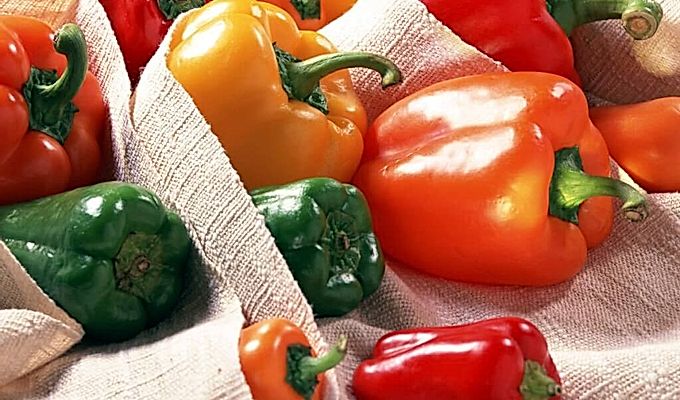 Babura paprika