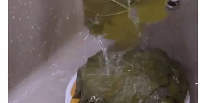 A la recepta per fer dolma a partir de fulles de raïm és important tallar-ne les tiges.