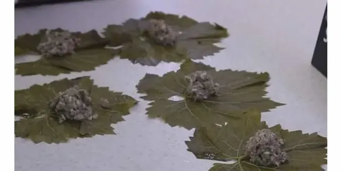 La nostra recepta amb una foto us ajudarà a cuinar correctament la dolma a casa.