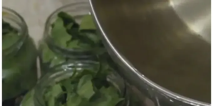 اكتشف منا أيضًا كيفية تخزين ورق العنب بشكل صحيح لدولما. 