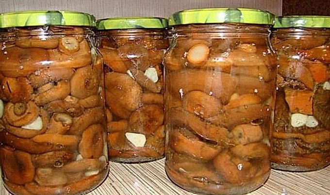 Come cucinare i funghi più deliziosi per l'inverno?