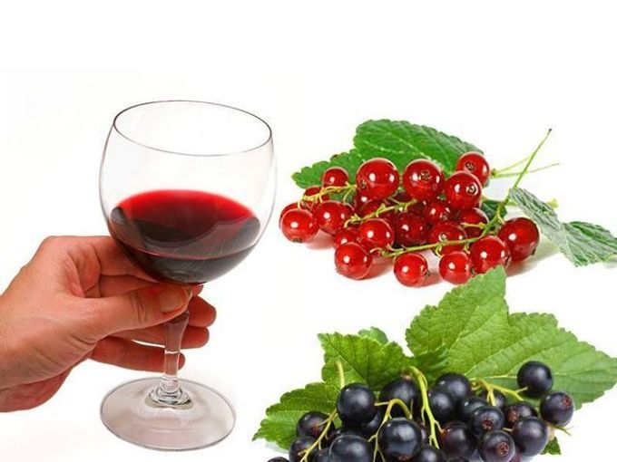 Vino od ribizla kod kuće - jednostavan recept za izradu