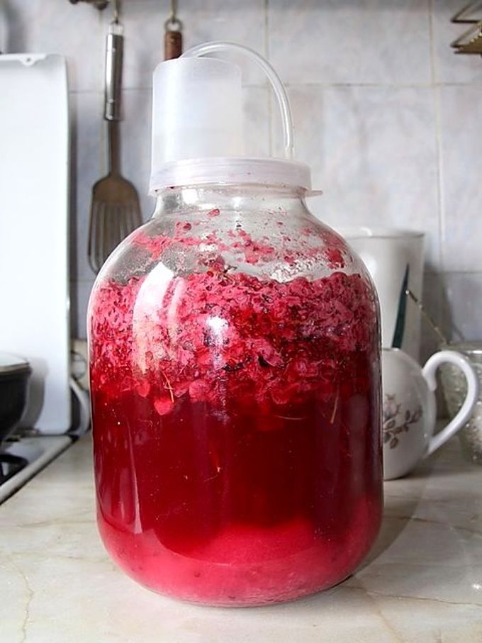 Rybízové víno doma — jednoduchý recept na výrobu