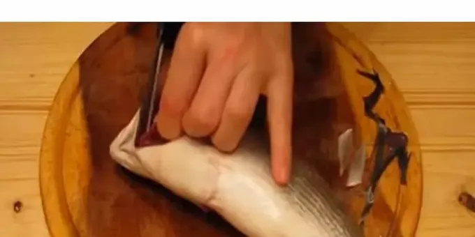 Sæt en kvist i fisken dild og citron 