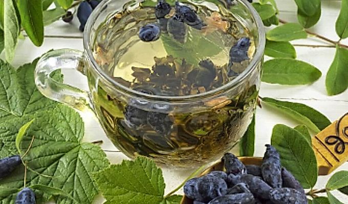  Infusió de lligabosc 