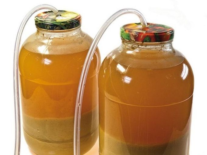 bottiglie di vino