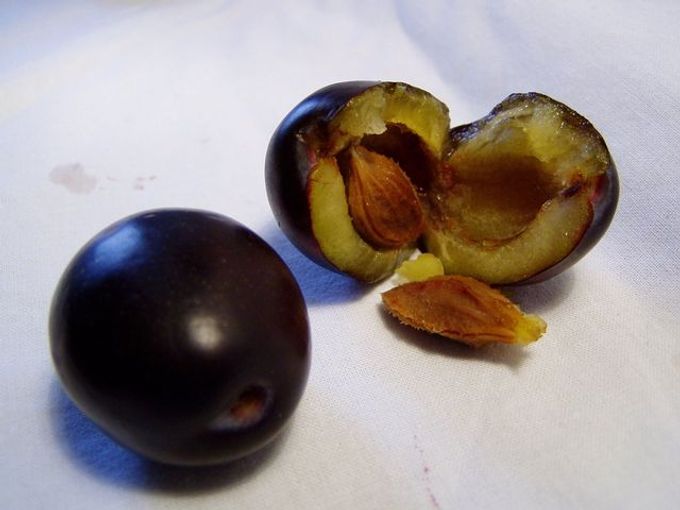 plums