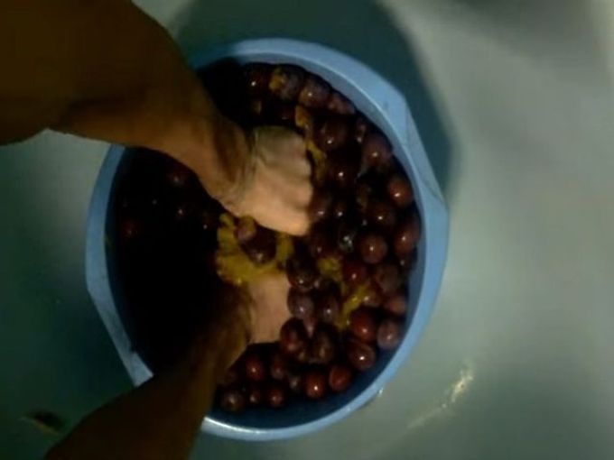 mashed plums