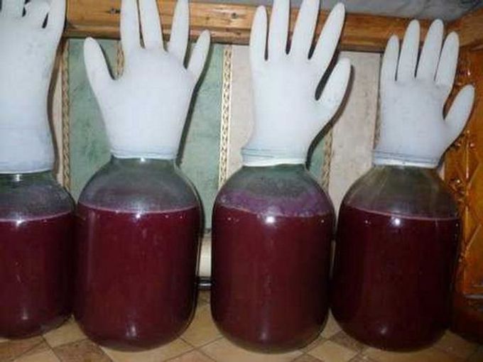 fermentation of wine in jars