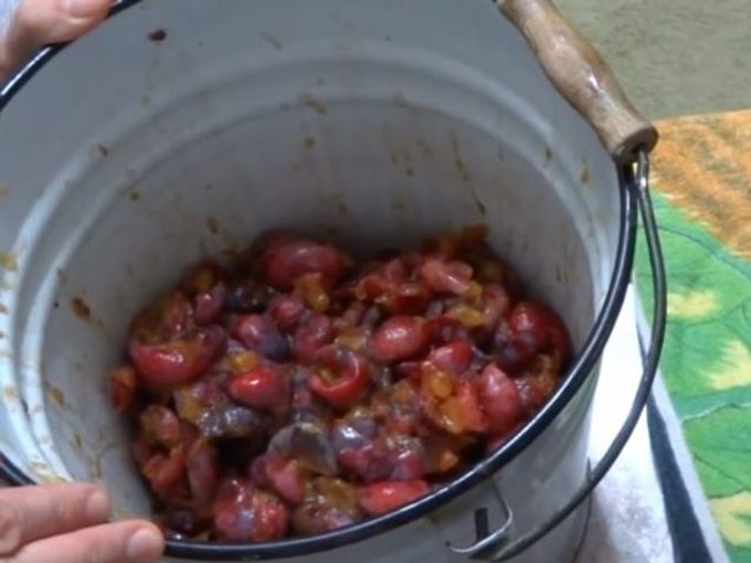 pitted plums in a bucket