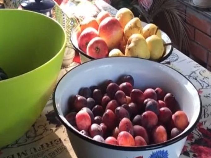 plums and apples for wine